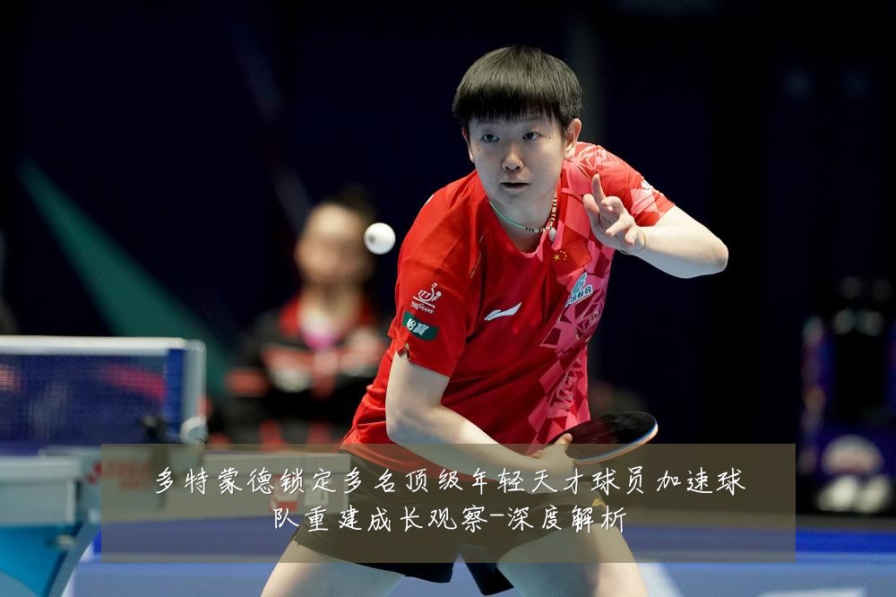 多特蒙德锁定多名顶级年轻天才球员加速球队重建成长观察-深度解析